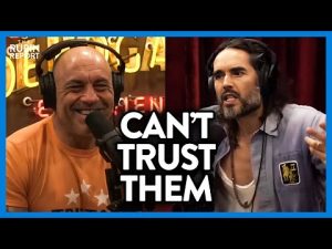 Read more about the article Russell Brand & Joe Rogan Rip Into YouTube’s Hilariously Absurd Policies | DM CLIPS | Rubin Report