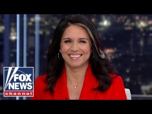 Read more about the article Tulsi Gabbard: Biden has an indefensible record as president