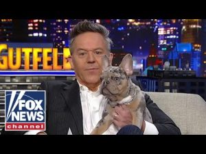 Read more about the article ‘Gutfeld!’: Can GOP candidates pass ‘The Gus Test’?