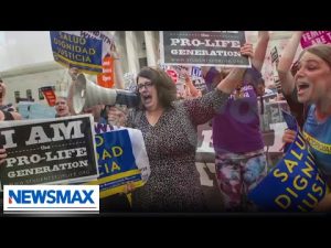 Read more about the article Pro-Life event gets shut down by angry mob | National Report