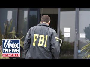Read more about the article Liberal media torched for vilifying FBI whistleblowers