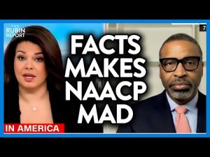 Read more about the article Watch NAACP Head Get Pissed as CNN Host Calmly Reads Simple Facts | DM CLIPS | Rubin Report