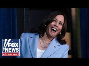 Read more about the article Biden campaign rushes to Kamala Harris’ defense as they launch 2024 bid