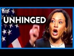 Read more about the article The One Problem with Kamala Harris’ Unhinged Rant, It’s a Complete Lie | DM CLIPS | Rubin Report