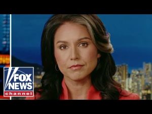 Read more about the article Tulsi Gabbard: Democrats have become ‘consumed’ with desire for power