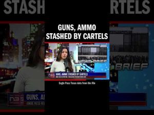 Read more about the article Guns, Ammo Stashed by Cartels