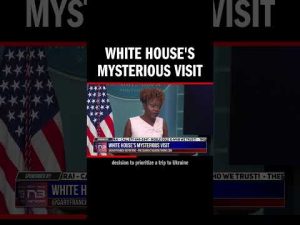 Read more about the article White House’s Mysterious Visit