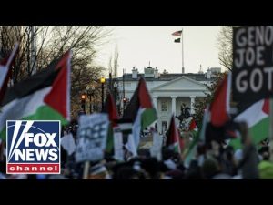 Read more about the article Anti-Israel riots outside White House force Secret Service to take action