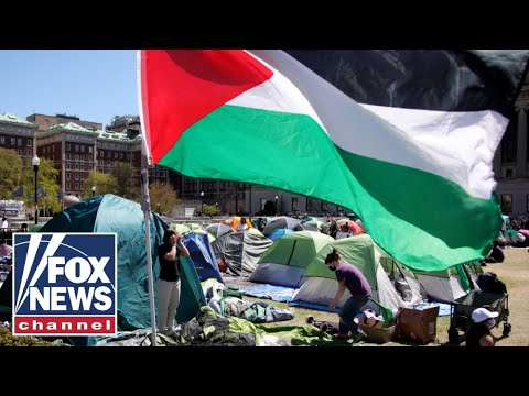 You are currently viewing Anti-Israel protesters at Columbia seeking amnesty after arrests