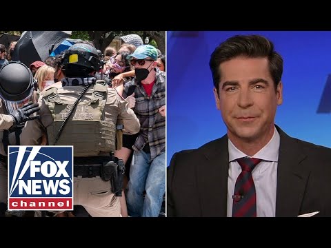 You are currently viewing Jesse Watters: What’s going on is ‘insanity’