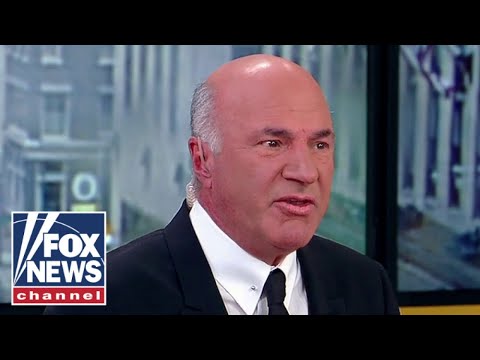 You are currently viewing Kevin O’Leary torches NYC hush money case: We look like clowns!