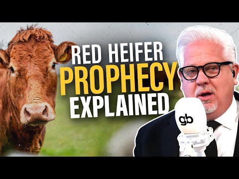 You are currently viewing What Happens if Israel SACRIFICES a Red Heifer?