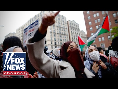 You are currently viewing Anti-Israel protestors are following the BLM ‘script’: Rantz