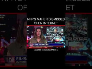 Read more about the article NPR’s Maher Dismisses Open Internet