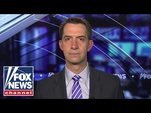 You are currently viewing Tom Cotton: Dems may be using anti-Israel protests to create diplomatic ‘daylight’