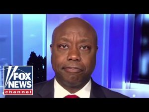 Read more about the article Tim Scott: Mayorkas is ‘guilty of the greatest invasion in American history’