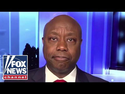 You are currently viewing Tim Scott: Mayorkas is ‘guilty of the greatest invasion in American history’