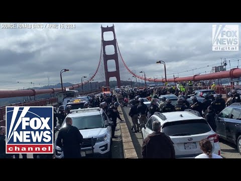 You are currently viewing Driver trapped on bridge says anti-Israel protesters must face repercussions