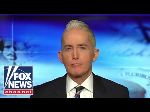 You are currently viewing Trey Gowdy: Schumer didn’t want this to be aired publicly