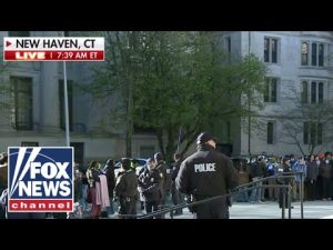 Read more about the article Riot police at Yale as hundreds of students hold anti-Israel protest