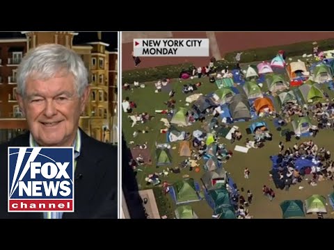 You are currently viewing Newt Gingrich: There must be ‘accountability’ for colleges rife with anti-Israel chaos