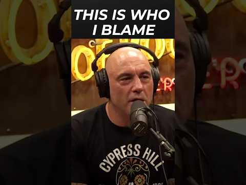 You are currently viewing Joe Rogan Tears Into This Group for Pushing White Guilt Narrative