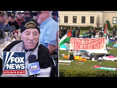 You are currently viewing Vets disgusted by flag burning at anti-Israel protests: I didn’t fight for this