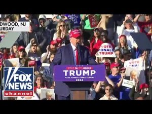 Read more about the article ‘The Five’: Trump pulls massive rally crowd in deep-blue state