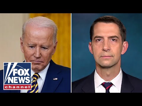 You are currently viewing Tom Cotton warns ‘little Gazas’ will emerge across US if Biden is reelected