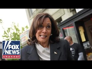 Read more about the article Kamala Harris drops F-bomb during speech: ‘She’s gone over the top’