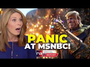 Read more about the article Panic Strikes MSNBC Nicolle Wallace as Trump’s 2024 Victory Becomes Inevitable