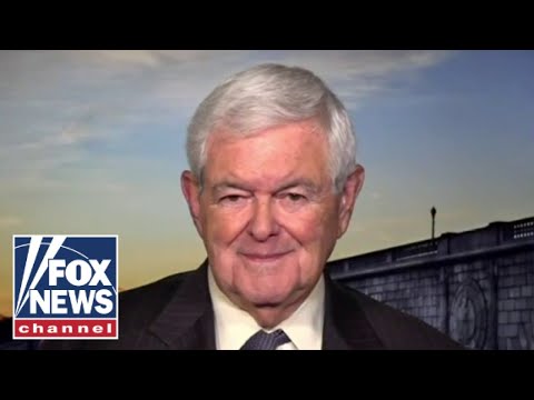 You are currently viewing The Biden team ‘panicked’: Newt Gingrich