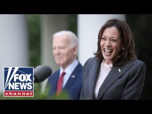 Read more about the article Kamala Harris ‘joked’ about back-up plan if she loses 2024: Report