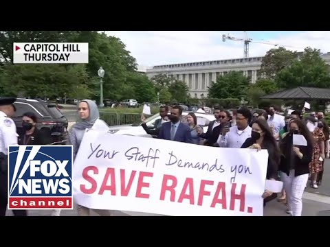 You are currently viewing Dem staffers told to wear masks, remove IDs before anti-Israel protest