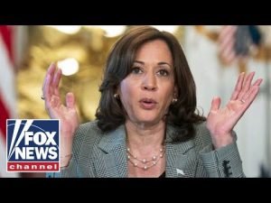 Read more about the article ‘Of course’ Kamala Harris is downplaying her plan B if Biden loses