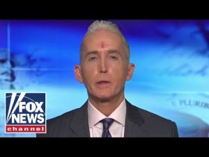 Read more about the article Trey Gowdy: The media is ‘sounding the alarm’ over Biden’s polling