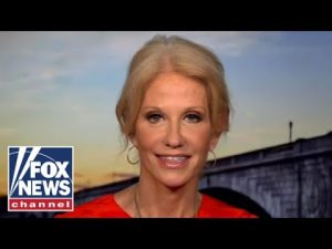 Read more about the article Kellyanne Conway: Here’s when Biden lost independent voters