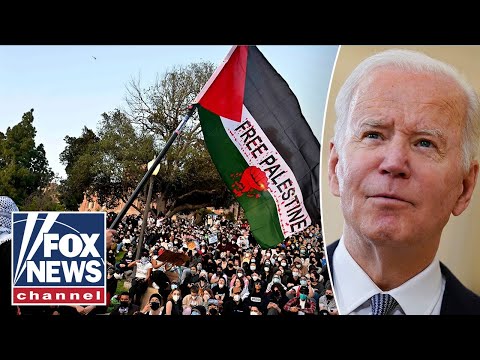 You are currently viewing Democrat challenged on Biden’s response to anti-Israel campus mobs