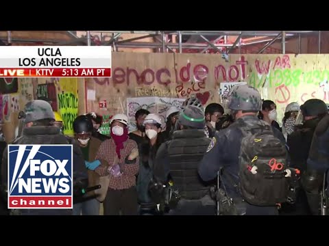 You are currently viewing UCLA medical student blasts school for allowing ‘absolute insanity’ by agitators