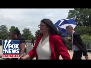 Read more about the article Staffer for Democratic Rep. Tlaib tries to obstruct Fox cameraman