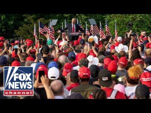 Read more about the article Donald Trump at Bronx rally: Biden puts illegal aliens first, I put America first