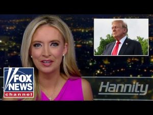 Read more about the article Kayleigh McEnany: This was ‘brilliantly done’ by Trump