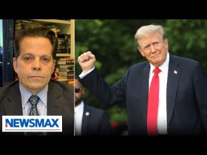 Read more about the article Scaramucci: Trump wants to make the president more powerful