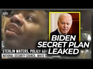 Read more about the article BREAKING: Biden Official Caught Revealing Plan to Betray Israel