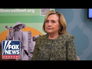 Read more about the article ‘EIGHT YEAR PUBLIC THERAPY TOUR’: Hillary Clinton blames new demographic for 2016 loss