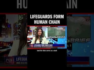 Read more about the article Florida lifeguards go full-hero mode, forming a human chain to save a boogie-boarder from a rip curr