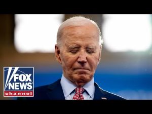 Read more about the article Dem pollster warns Biden campaign not to ‘politicize’ Trump verdict: ‘Wouldn’t say a word’