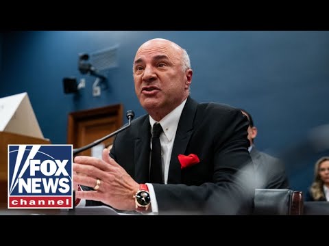 You are currently viewing Kevin O’Leary to anti-Israel protestors: This will come back to haunt you