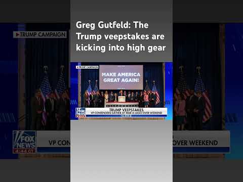 You are currently viewing Greg Gutfeld: Some say Kristi Noem is barking up the wrong tree #shorts