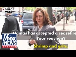 Read more about the article ‘Shrimp and grits’?: Kamala Harris gives bizarre answer to cease-fire question